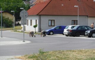 Soustredeni 2017 leto 039