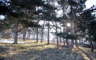 Soustredeni 2018 vikend 018