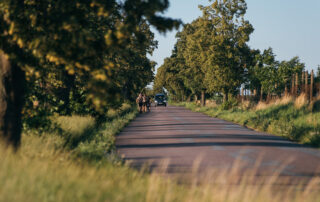 Soustredeni 2020 leto 037