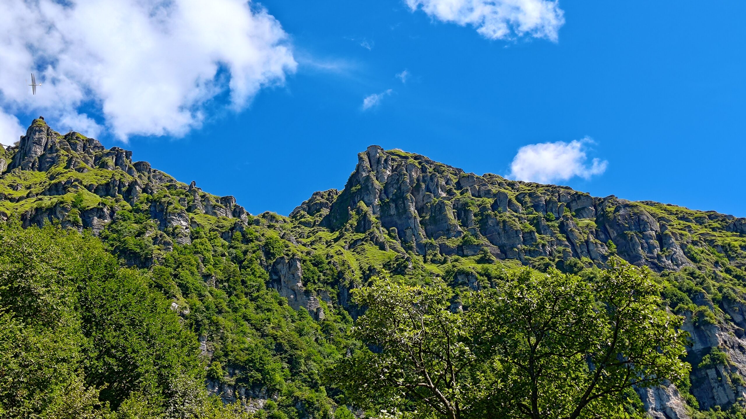 MovementCampComo Mirek 022