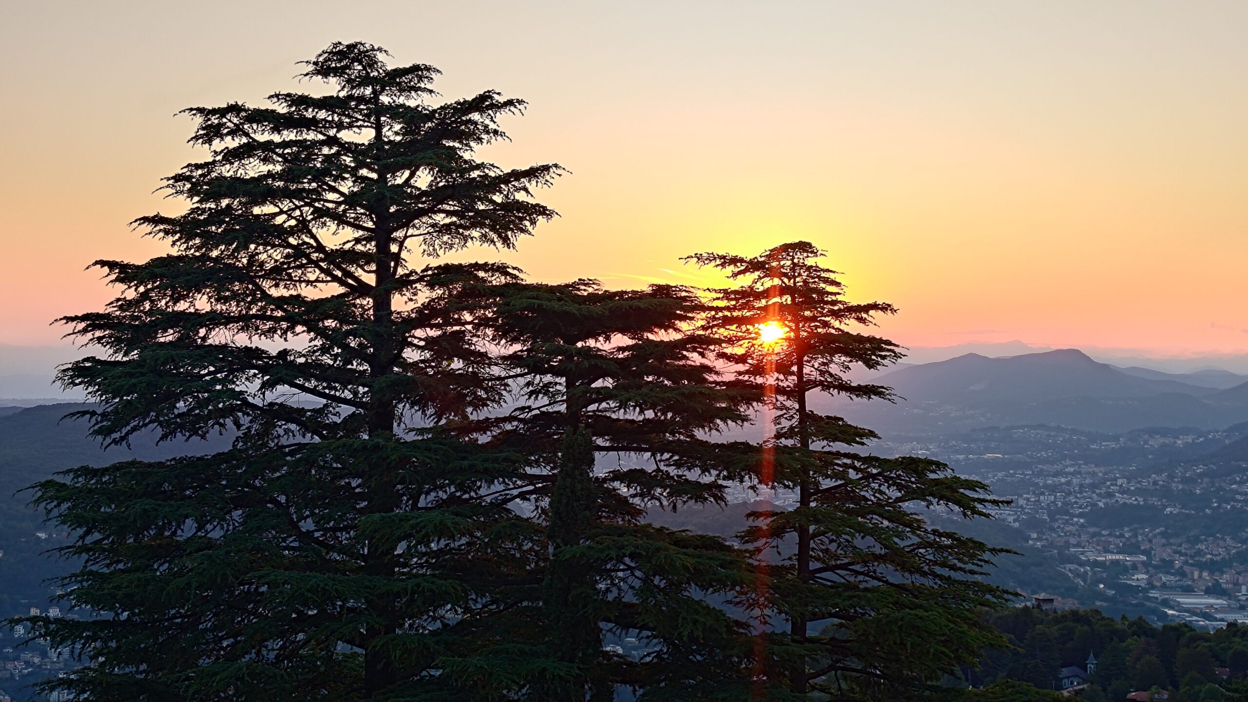 MovementCampComo Mirek 029